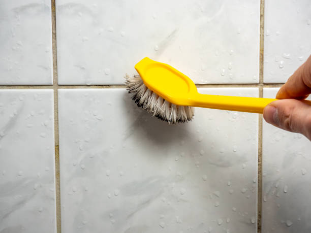 Best Mold Removal Company Near Me  in Matteson, IL