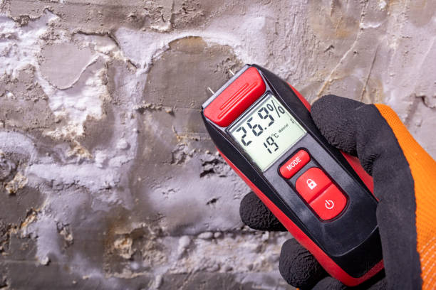 Best Mold Damage Repair  in Matteson, IL