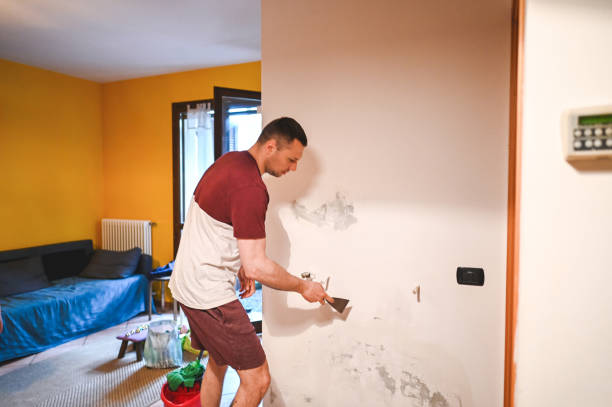 Best Mold Removal Company Near Me  in Matteson, IL